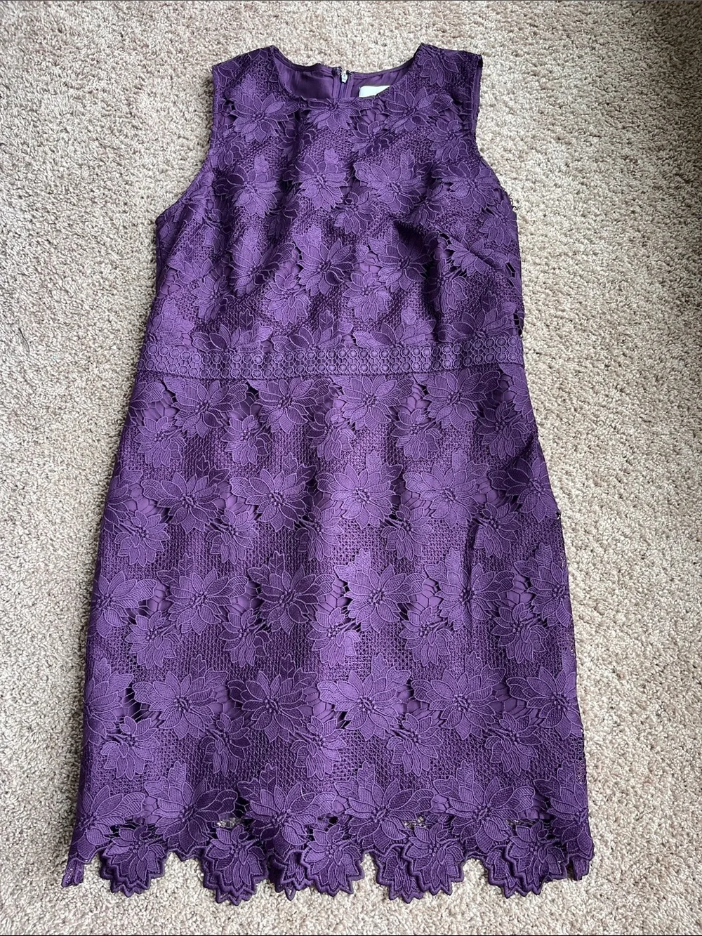 LOFT Purple Floral Lace Dress Size 14